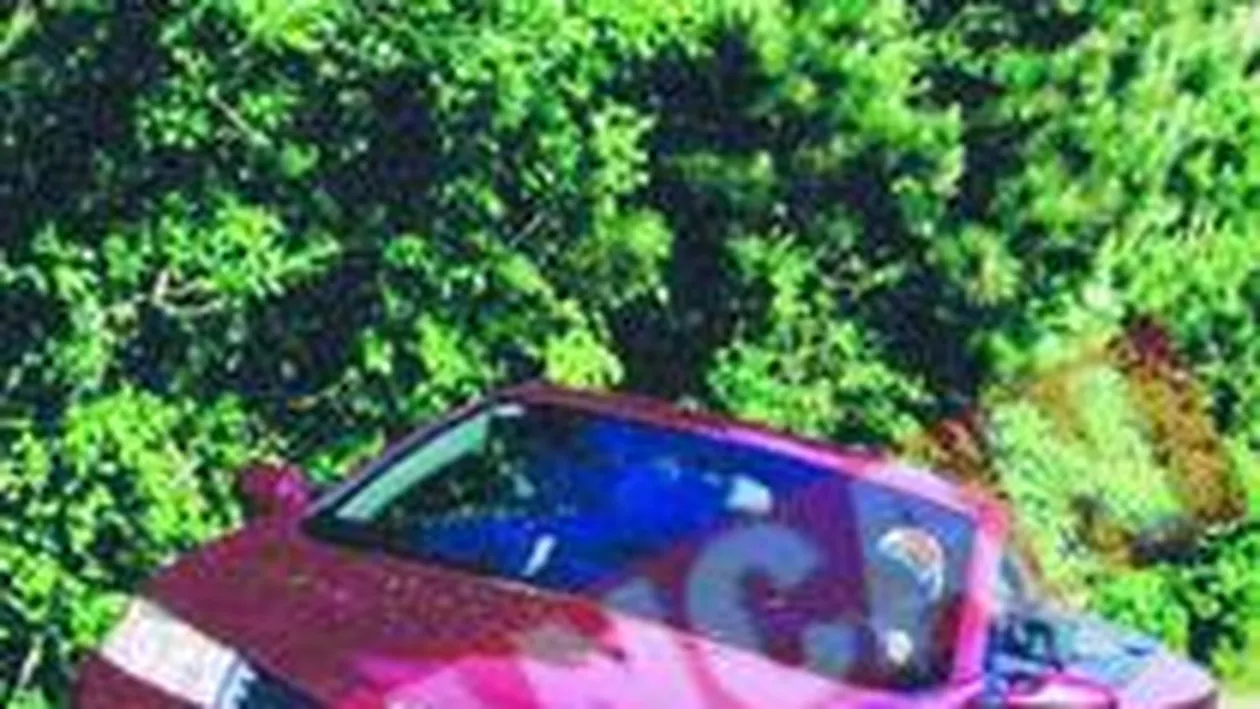 Anda Adam i-a cumparat masina decapotabila lui Victor Slav