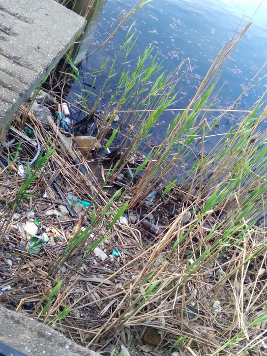 Imagini cu mizeria din Parcul Pantelimon au făcut înconjurul rețelelor de socializare (Foto: Facebook-ești din sectorul doi)