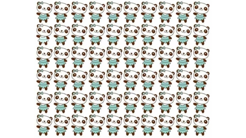 Test de logică | Un singur ursuleț panda este diferit de toți ceilalți. Îl puteți găsi?