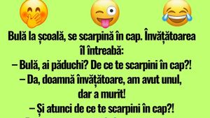 BANC | Învățătoarea, Bulă și păduchii