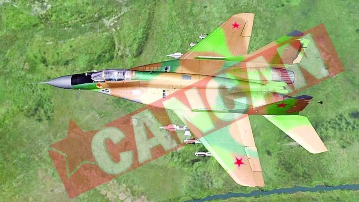 MIG lovit de o pasare