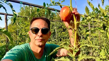 Dan Negru vorbește despre plecarea din televiziune: „Mă apuc de roşii”