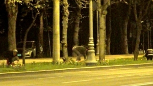 Jaf la drumul mare! Hotii de lalele, surprinsi in flagrant de paparazzii CANCAN.ro!