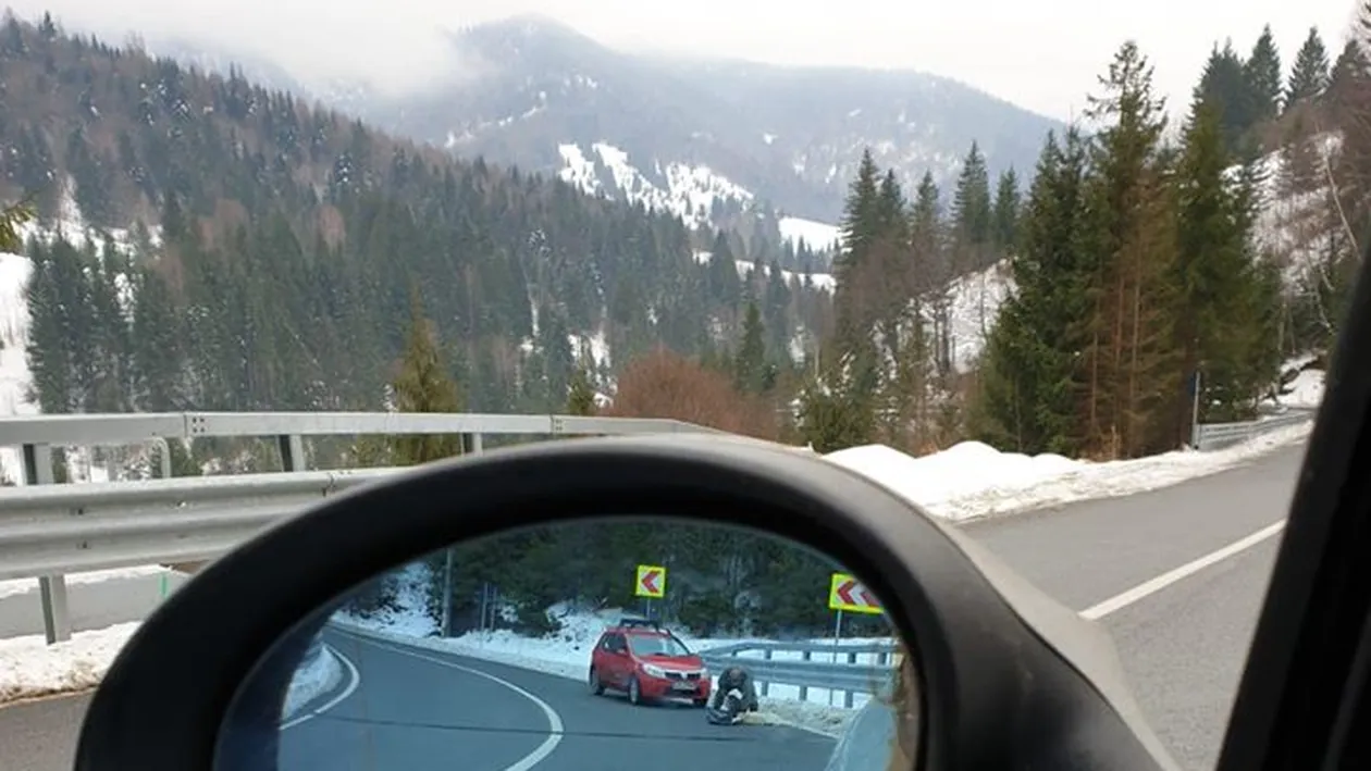 Caz șocant în Maramureș! Un câine a fost împușcat în fața unui copil de 6 ani