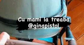 Galerie foto - poza 4