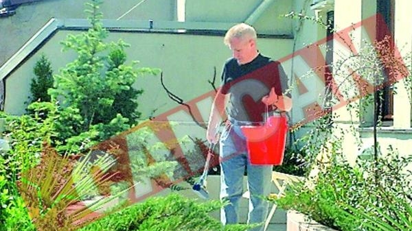 Gradina si cinema pe terasa blocului