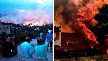 Incendiu de vegetație devastator în Grecia, aproape de Antena! Bilanțul a ajuns la 50 de morți