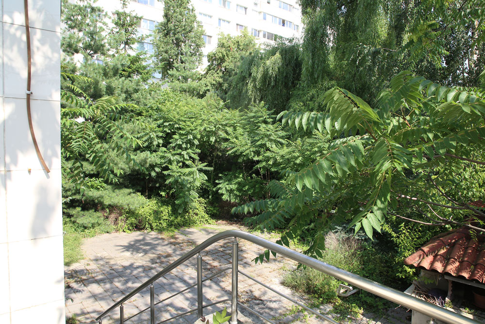 Palatul ar valora la ora actuală aproximativ 500.000 de euro