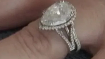 VIDEO Un motan a furat un diamant de 40.000 de dolari pe care l-a aruncat in toaleta