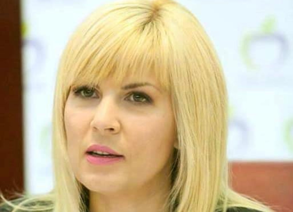 Elena Udrea a rămas fără Mercedes/ Foto: Facebook