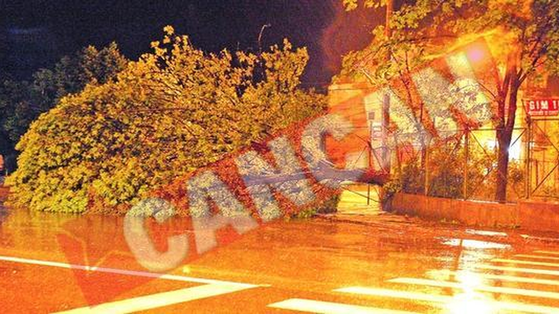 Furtuna a facut ravagii in Bucuresti