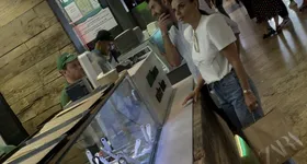 Galerie foto - poza 3