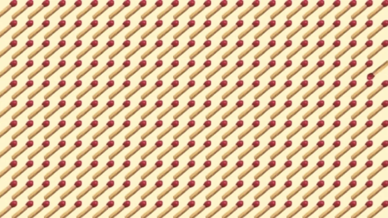 Test IQ pentru genii | Doar cei cu o minte sclipitoare descoperă bățul de chibrit diferit din imagine