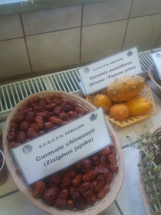 Cercetătorii au apelat la culturi exotice pentru a valorifica solul nisipos din zonă