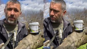 Ce truc folosește Dragoș Bucur pentru pomii fructiferi! Așa îi puteți salva de o problemă des întâlnită