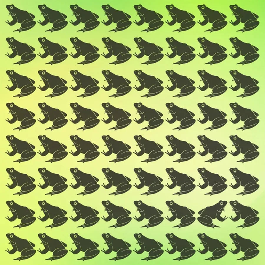 Care este broasca diferită/foto: Facebook