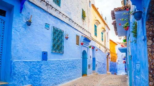 Iluzie optică virală | Găsiți pisica ascunsă pe această stradă din Grecia!