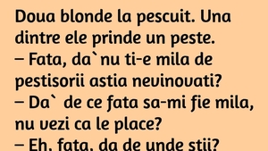 BANCUL ZILEI | Două blonde se duc la pescuit