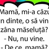 BANCUL ZILEI | Zâna Măseluță