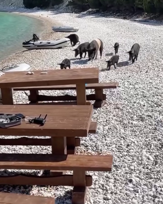 Sursa foto: Instagram Ithaki island