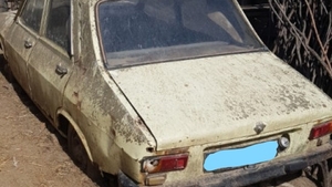Un buzoian avea o Dacie 1300 pe care nu o mai conducea de mulți ani. Într-o zi, verificând cutia poștală, a avut un șoc: ”Stăteau găinile pe ea, cum se poate așa ceva?”