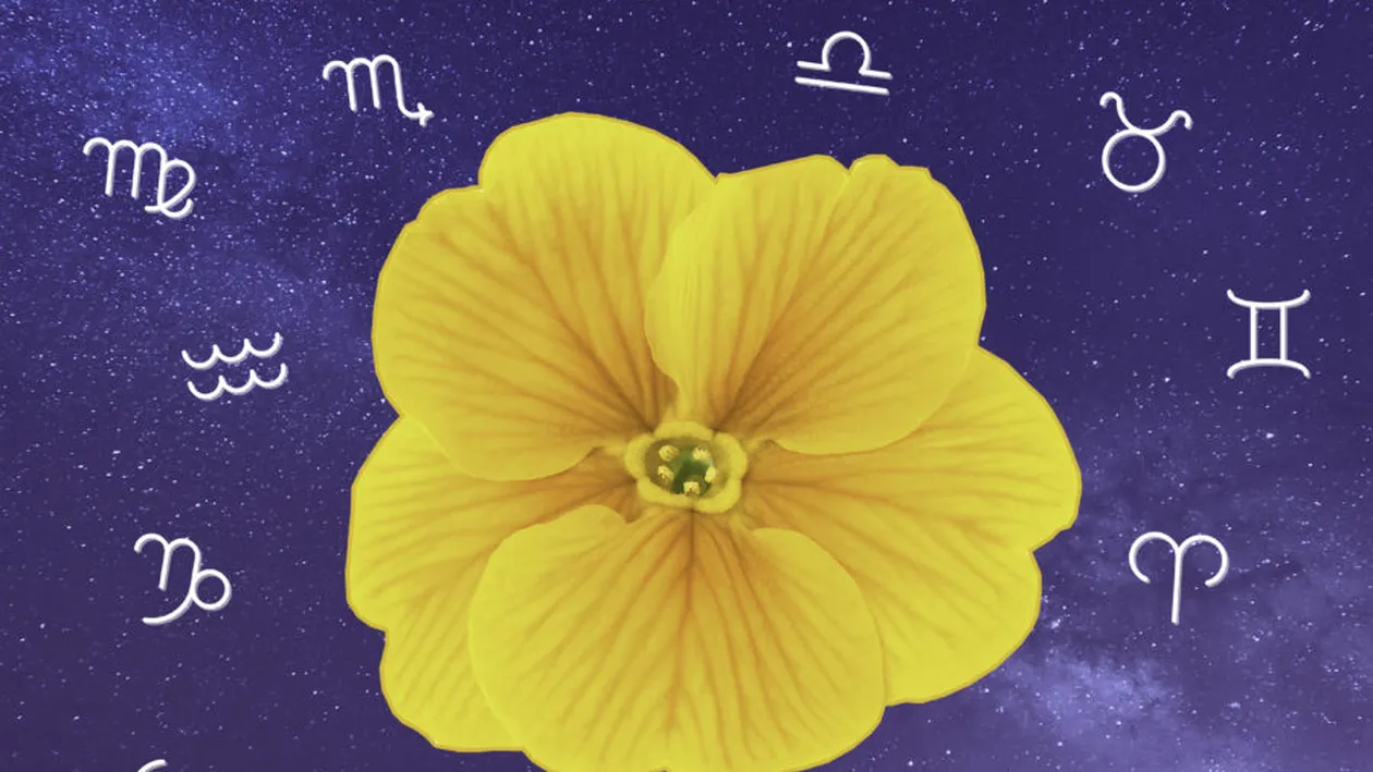 Horoscop de mărțișor. Care sunt zodiile care vor radia ca razele soarelui în primele zile din martie