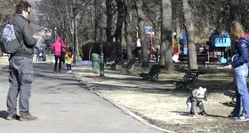 Galerie foto - poza 4