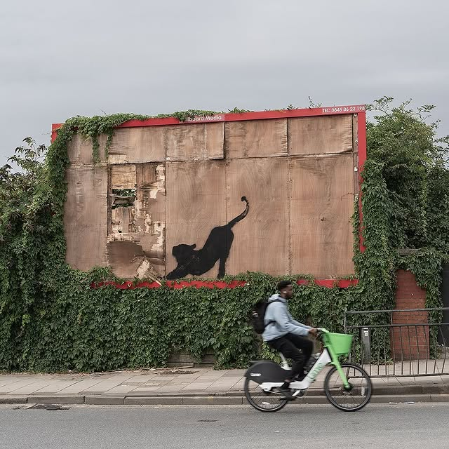 Lucrările celebrului artist Banksy. Foto: Instagram