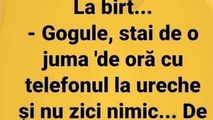 BANCUL ZILEI | "Gogule, stai de o juma' de oră cu telefonul la ureche și nu zici nimic"
