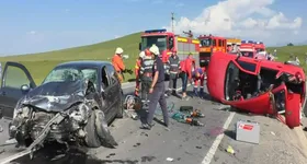 Galerie foto - poza 2