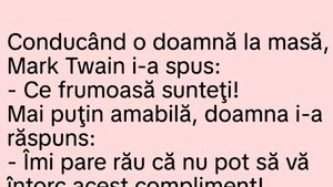 BANC | Mark Twain și doamna frumoasă