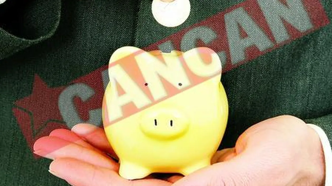 Pui de bani In toamna