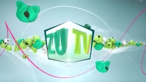 Schimbări majore în Antena Group. Ce se întâmplă după ce ZU TV a fost eliminat din grilă