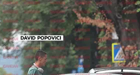 Galerie foto - poza 2