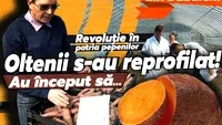 Revoluție în patria pepenilor. Oltenii s-au reprofilat! Au început să…