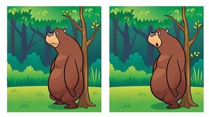 Test de logică | Există 6 diferențe între aceste două poze. Identificați-le în cel mult 18 secunde!