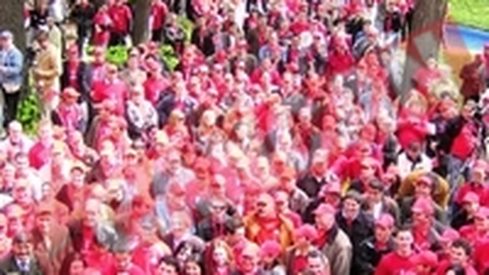 PSD-istii au iesit la lupta