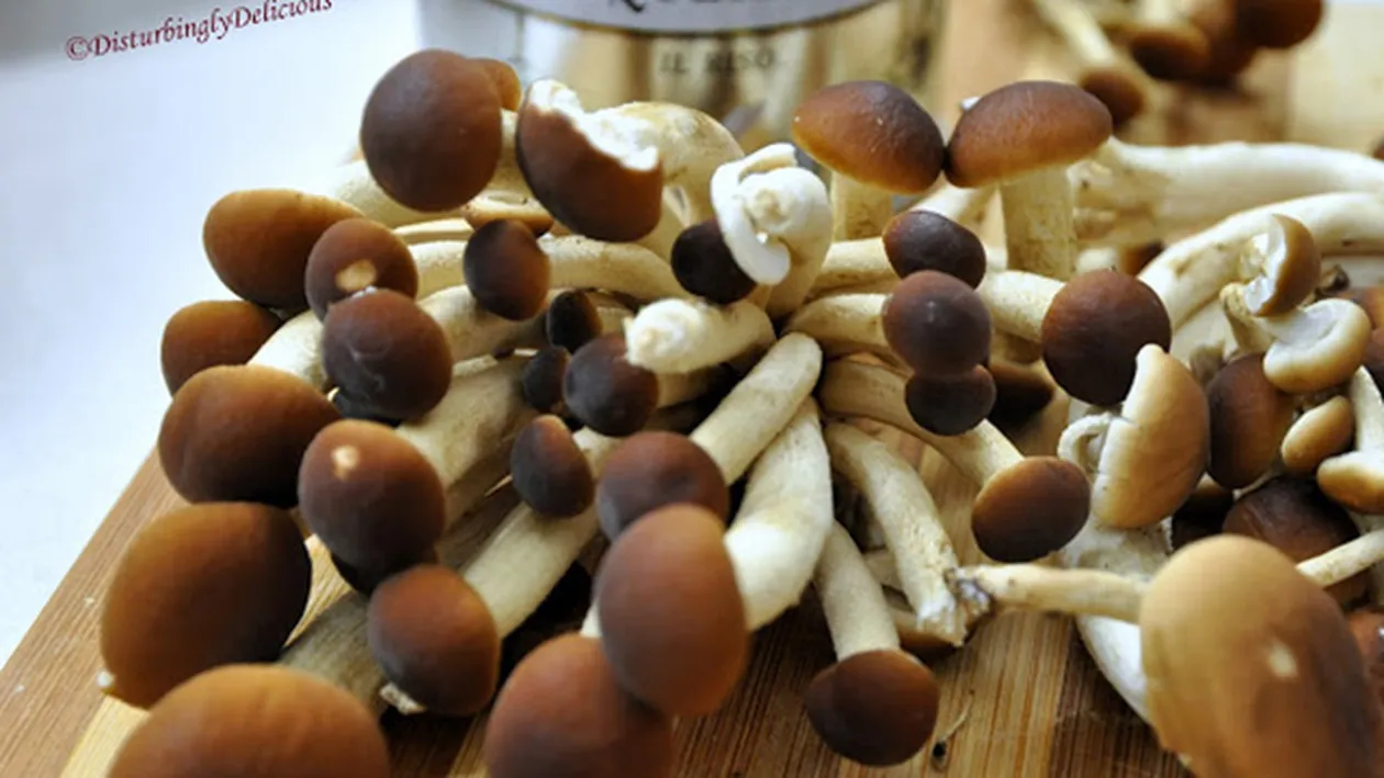 De necrezut! Un barbat din Alexandria a murit dupa ce a mancat ciuperci de la supermarket!