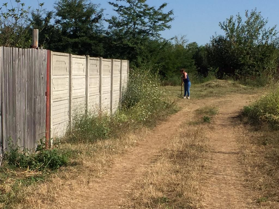 Angajații Primăriei Caracal taie iarba din curtea casei lui Gheorghe DIncă