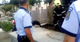 Galerie foto - poza 4