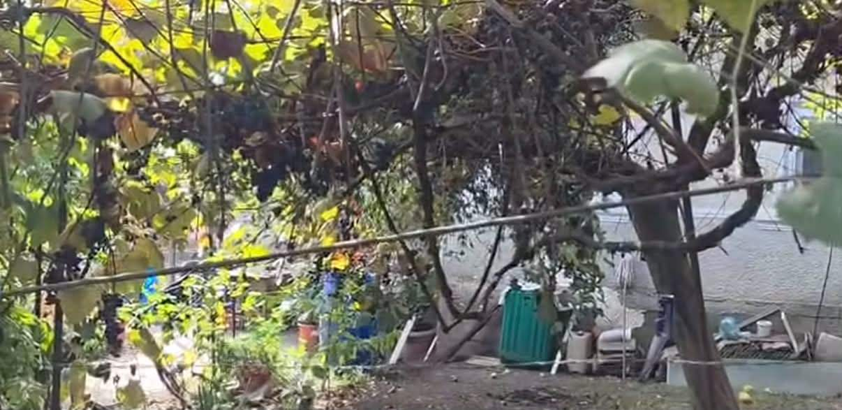 Ce au găsit anchetatorii în casa în care Valentina locuia cu Vlad Bălțățeanu. Informații de ultimă oră din anchetă