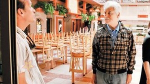 "Comisarul Cattani" isi cauta casa in Romania