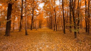 Prognoza meteo pentru următoarele două săptămâni. Cum va fi vremea în fiecare regiune