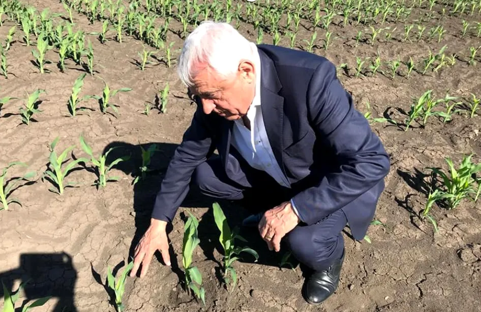 Fostul ministru al Agriculturii, Petre Daea, divorţează la 76 de ani, după ce și-a bătut soția și a amenințat-o: ”Îți mut dinții, te rup în două!”