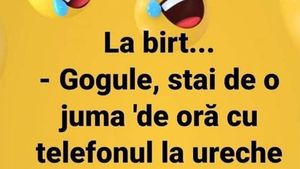 BANC | "Gogule, stai de juma' de oră cu telefonul la ureche"