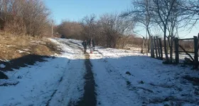 Galerie foto - poza 2