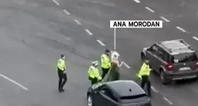 Galerie foto - poza 2