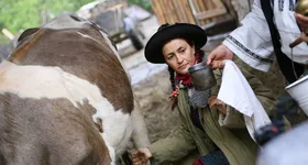 Galerie foto - poza 4