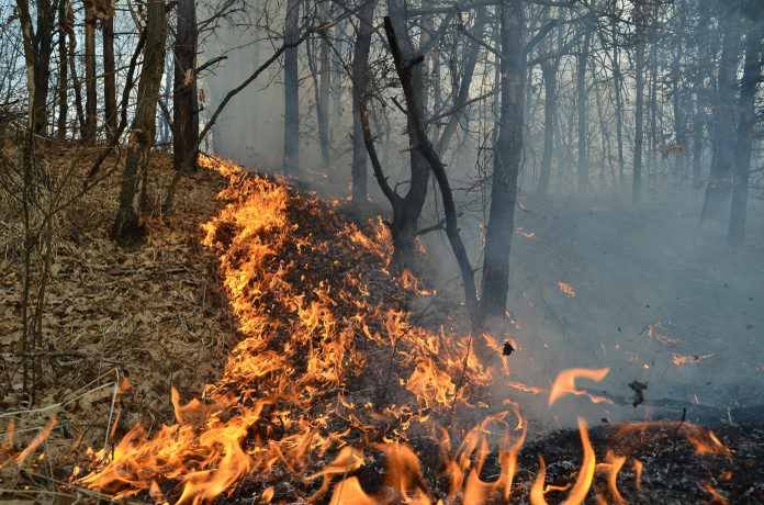 Alertă! Catastrofa din Grecia, unde au murit aproape 90 de oameni, s-ar putea repeta și în România. Peste 15.000 de incendii de vegetație în țara noastră, în 2017