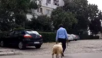 Trecătorii au rămas mască! Un bărbat, la plimbare cu berbecul de funie prin Buzău! VIDEO